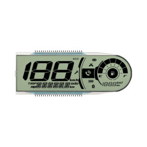 HERO SPLINDER METER DISPLAY